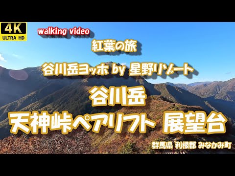 紅葉の旅 谷川岳 天神峠ペアリフト 展望台 4K【お散歩シリーズ】 群馬県 利根郡 みなかみ町 谷川岳ヨッホ 星野リゾート 24年10月21日