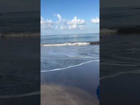 🏝️ Morning walk on the beach 🏝️#tenerife #beach #ocean