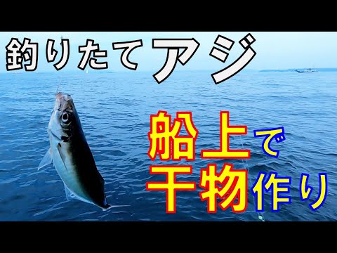 【釣りたてアジを船上で干物に】釣り人の特権を味わう！ 東京湾アジ釣り