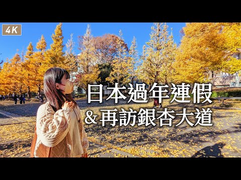 Tokyo Vlog｜Ginkgo Avenue of Keio、Year-End and New Year Holidays in Japan