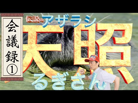 【天照るぎさん編①】参政党を離党し天照で日本の国守り。参院選直後から何が起きたのかなぜ内部から改善できなかったのか。