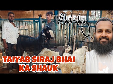 HAQSE BAKREBAAZ 🐐 TAIYAB SIRAJ BHAI KA BAKRO KA SHAUK HOME SET-UP 🐏