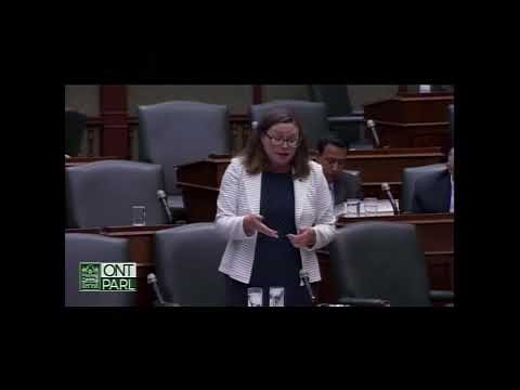 MPP Fife on Ford government's $330 million cut to mental health funding