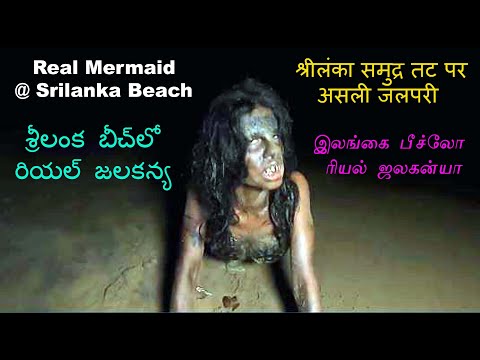 Real Mermaid at Srilanka Beach | श्रीलंका समुद्र तट पर असली जलपरी | శ్రీలంక బీచ్‌లో రియల్ జలకన్య