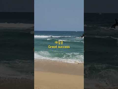 강릉 안목해변 눈치게임 대성공! Success in the perception game at Anmok Beach, Gangneung