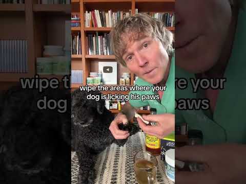 Dog won’t stop licking his paws? Awesome Home Remedy!