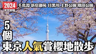 東京櫻花2024🌸 雨中的5個人氣賞櫻地櫻花散步 千鳥淵 目黑川 新宿御苑 上野公園 淺草隅田公園｜賞櫻重點整理｜日本東京賞櫻攻略 4K VLOG