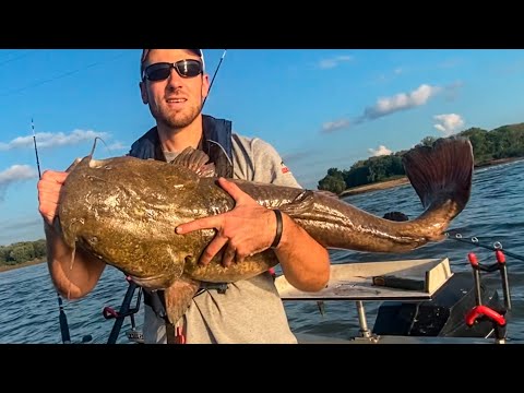 Catching Catfish Below A Dam (Big River Fishing)