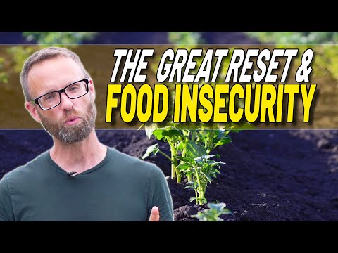 Food Insecurity- Who Is Most Likely to Struggle In the Near Future?