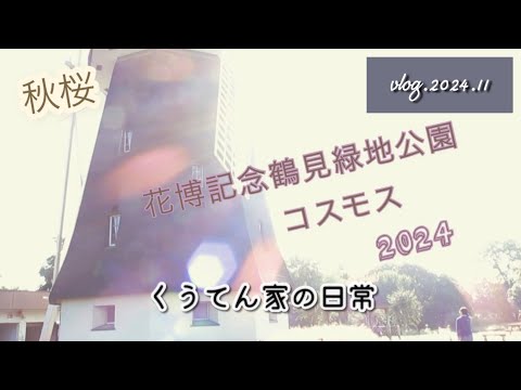 【散歩】花博記念鶴見緑地公園/秋桜/コスモス/４０代主婦/くうてん家の日常/猫との暮らし