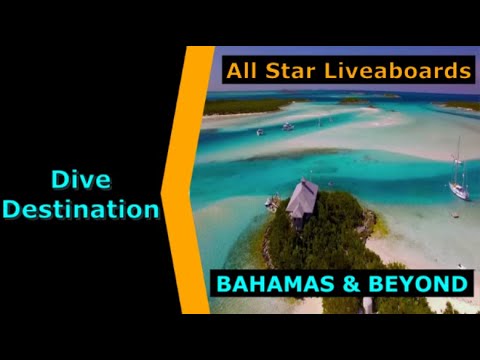 Diving Bahamas, All Star Liveaboards,Destination Spotlight for Scuba.Digital The #1 Online Dive Show