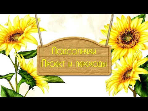 Бесплатный проект и переходы Подсолнухи