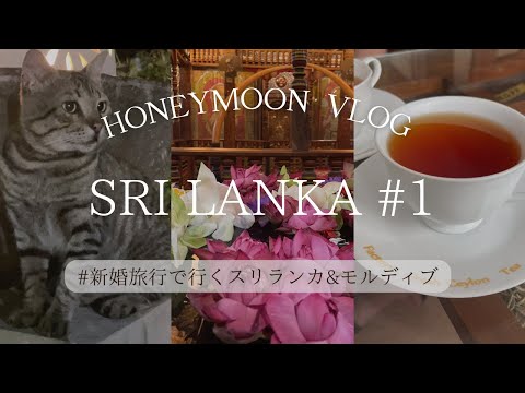 新婚旅行Vlog🐘#1 | スリランカ航空で行くスリランカ🇱🇰&モルディブ🇲🇻ハネムーン　| スリランカ編①