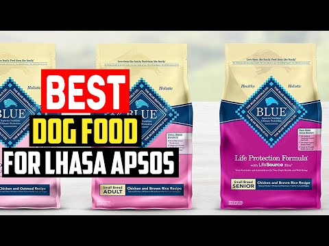 ✅Top 5 Best Dog Food for Lhasa Apsos in 2023