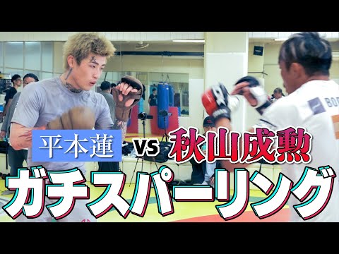 【神回】平本蓮VS 秋山成勲 ガチンコスパーリング