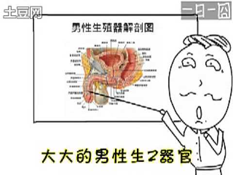 没那么大（一日一囧）101008