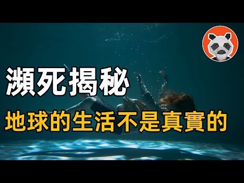 【瀕死體驗】溺水15分鐘的瀕死體驗，知道了來地球的目的【🐼熊貓周周】