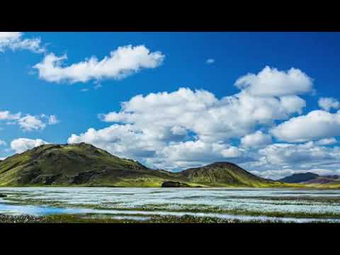 Chinese music：Beautiful golden peacock Hermoso 美丽的金孔雀