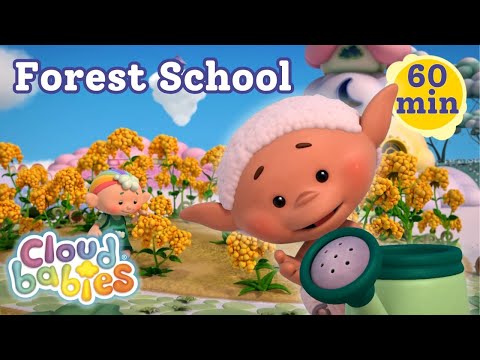 🌳 Forest School With The Cloudbabies & Baba Green : Back To School