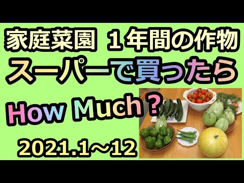 【家庭菜園 1年間の野菜 スーパーで買ったら How much？2021】家庭菜園28年目  無農薬 半自給自足