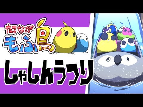 【たてながもふ鳥】しゃしんうつり #Shorts