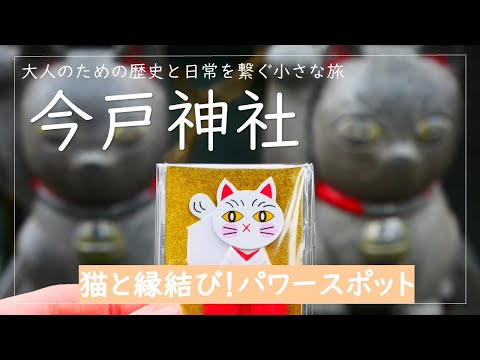 【大ヒット恋愛ドラマ×白猫なみちゃん】恋愛にご利益大！大ヒット恋愛ドラマのロケ地・今戸神社へ！