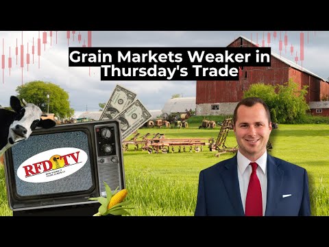 Grain Markets Weaker in Thursday's Trade