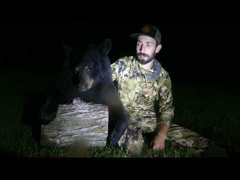 BIG Central Minnesota Bear!