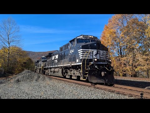 Norfolk Southern Container Consist - Savanah & Atlanta #1065 - Railfanning - Bolivar, PA (11/3/24)