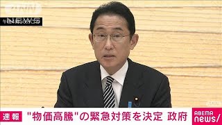 【速報】国費約6兆2000億円　原油価格や物価高騰で政府が緊急経済対策を決定(2022年4月26日)