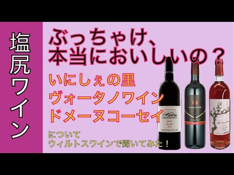 【塩尻ワインが買える店】東京・神宮前ウィルトスワインショップ【いにしぇの里葡萄酒・VOTANO WINE・ドメーヌコーセイと日本ワインの課題について語る】