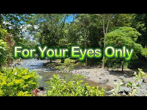 FOR YOUR EYES ONLY - (Karaoke Version) - in the style of Sheena Easton