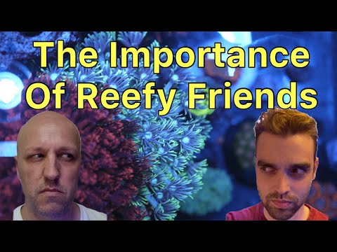 How Important Are Friends In The Hobby? The Prestige Reef Dork Show Episode 49