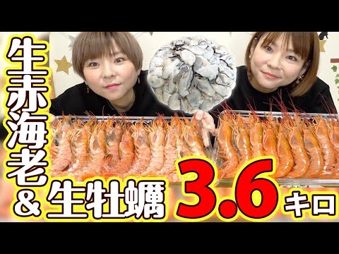 【大食い】生牡蠣&天然赤海老を贅沢食べ！初コストコの生牡蠣の味はいかに！？【MUKBANG】【モッパン】