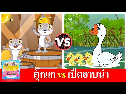 ตุ๊กแก vs เป็ดอาบน้ำ