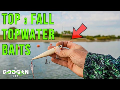 BEST 3 Fall TOPWATER Fishing LURES! ( Bass Fishing Tips )