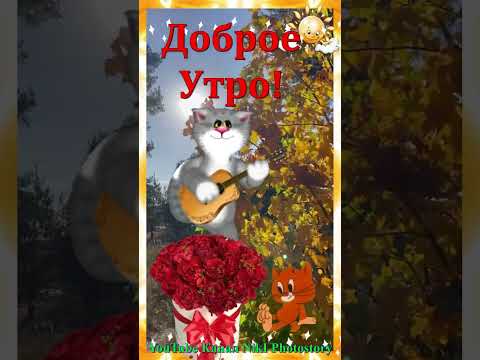 Классная Песня! Послушайте! С Добрым Утром! Хорошего Дня! #доброеутро#shorts_video