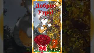 Классная Песня! Послушайте! С Добрым Утром! Хорошего Дня! #доброеутро#shorts_video