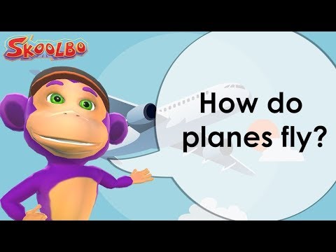 Curiosity - How do planes fly?