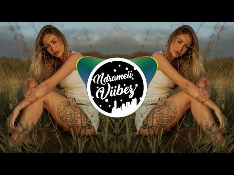 Boy In Space - Picking Flowers [Remz Chill ReMix]🇻🇺