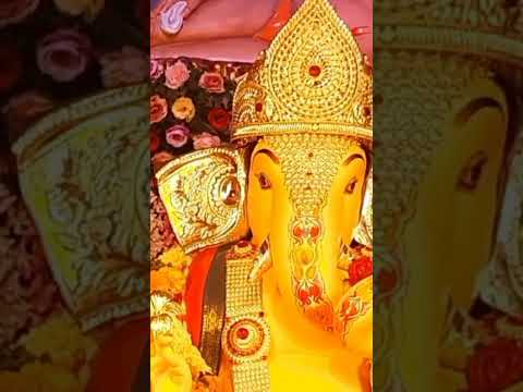 Ganpati Darshan #shorts #ganpati #ganpatibappamorya #ganpatibappa #ganpati2022