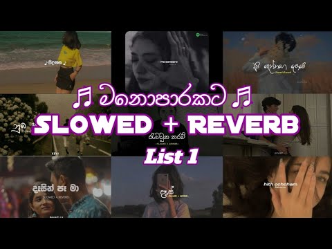 Manoparakata(මනෝපාරකට) Slowed+ Reverb Sinhala Songs Collection #2k23 #sadsong #Mind #relaxing