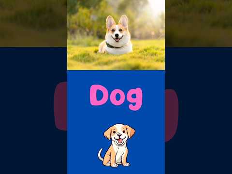 Spell the word Dog #spelling #spell #spellingforpreschool #animals #educationalvideo #shortsforkids