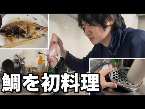 初のグリル焼きに挑戦！？安い鯛をゲットしたので戸惑いながらも料理する社会人