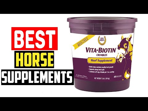 ✅Best Horse Supplements in 2023