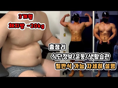 3개월 -20kg 일반식 다이어트 식단 정보 뱃살빼는 생활습관