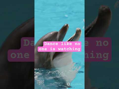 A Dolphin Told Wise Men WHAT?? (MUST WATCH)