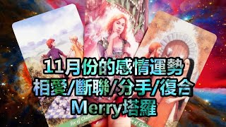 {Merry塔羅} 💘11月份的感情運勢? 相愛,噯味,分手,断联, 复合(無時間限制)