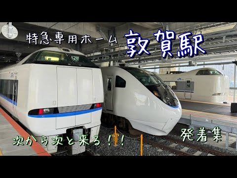 北陸への玄関口。敦賀駅の特急ホームを発着するサンダーバード&しらさぎを撮影！！次から次へと特急列車が来る！！