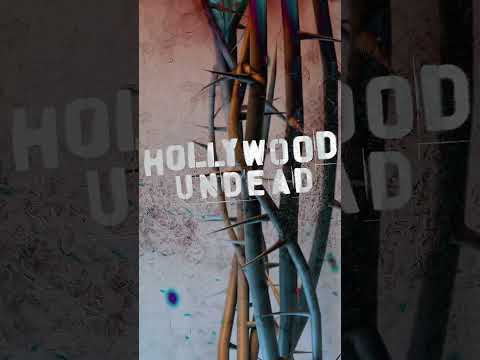 🪷 3.29.23 🪷 #hollywoodundead #hotelkalifornia #rock #music